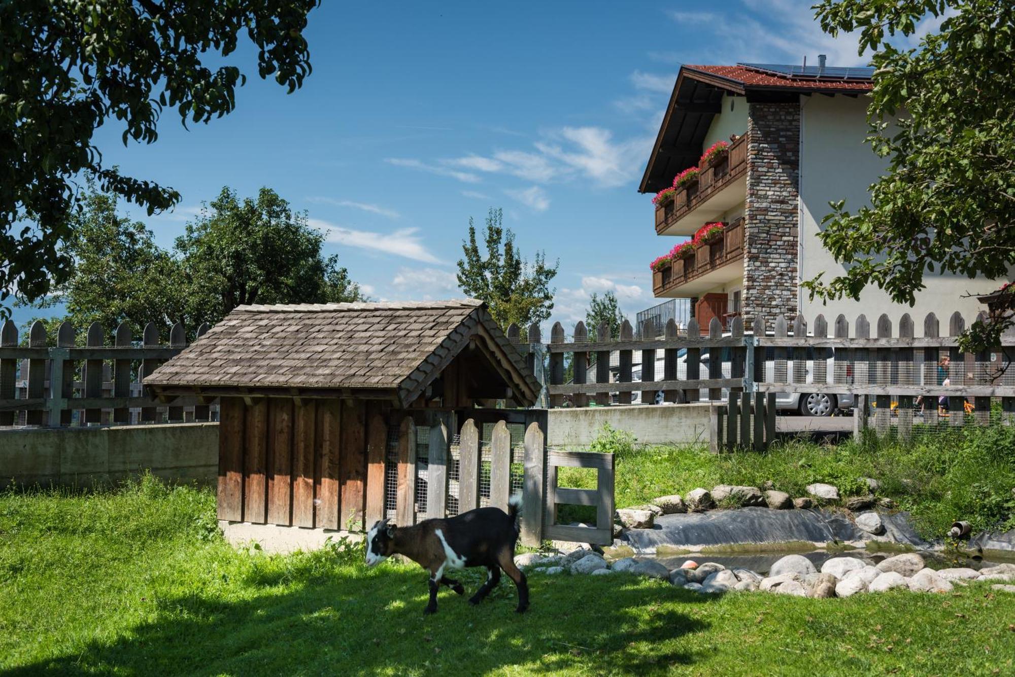 Ferienwohnungen Plattnerhof Terfens Exterior photo
